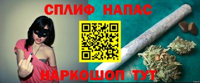 стафф Будённовск