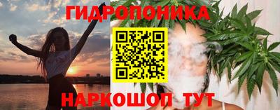 стафф Будённовск
