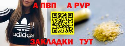 стафф Будённовск
